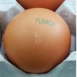 강원도 철원의 한 산란계 농가가 생산한 계란에서 품질 부적합 계란이 발견됐다. 난각 코드는 ‘PLN4Q4’. 사진제공=농림축산식품부