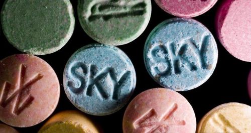 2019년 한 해 적발된 마약사범 1만6000여명 역대 최다