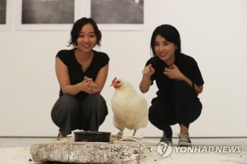 "종 차별 철폐해야" 개·고양이 넘어 의제 확장하는 동물권단체