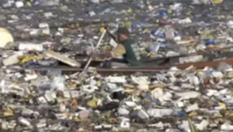[과학을읽다]②슬픈 플라스틱-환경파괴에서 인류 파괴로