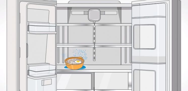 [과학을읽다]참기름에 냉장고 선반이 녹아요