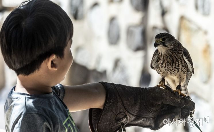 [포토] 한국의 전통매 경험