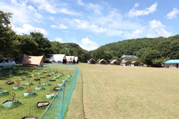 노원구민 전용 ‘힐링 캠핑장’ 개장