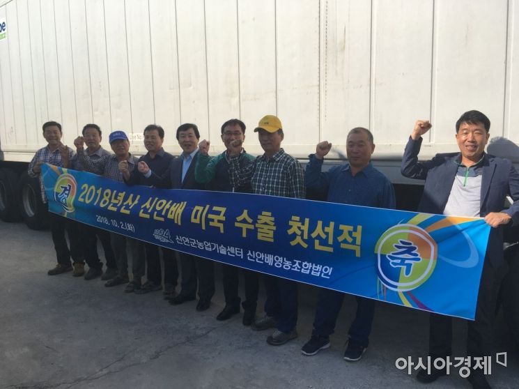 신안군, 명품 '신안배' 올해 첫 미국 수출길 오르다