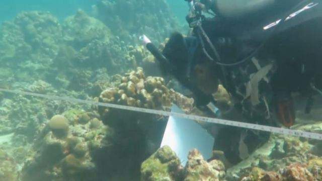 '생태계 훼손 심각' 태국 피피섬 결국 무기한 폐쇄