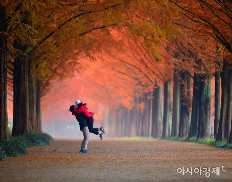 담양군, 31일까지 관광사진공모전 접수