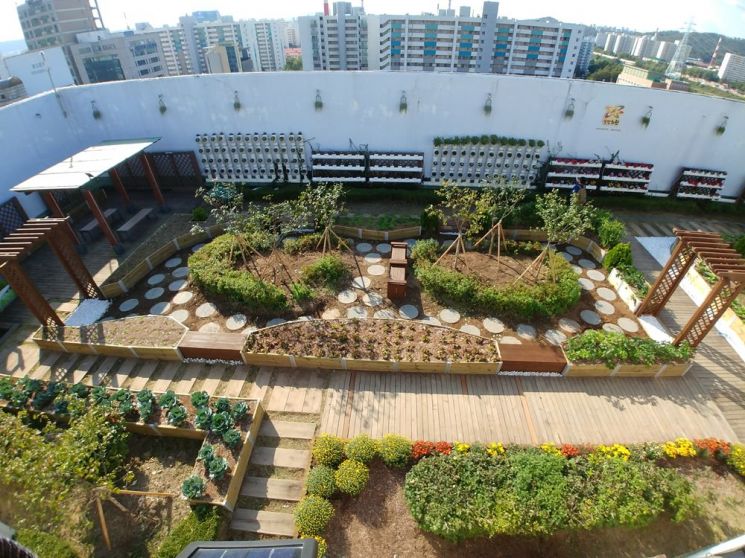 노원구청 옥상 힐링정원 생겨 