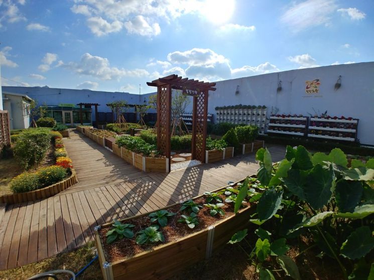 노원구청 옥상 힐링정원 생겨 