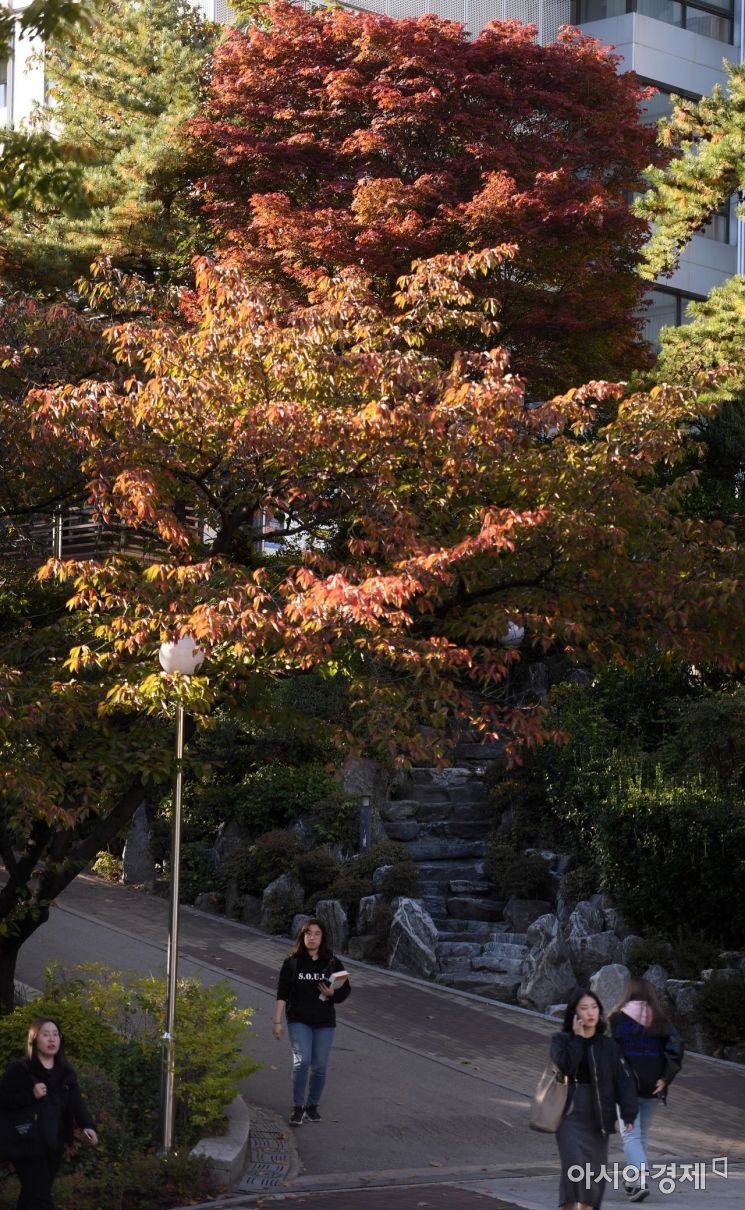 [포토] 단풍으로 물드는 가을 캠퍼스