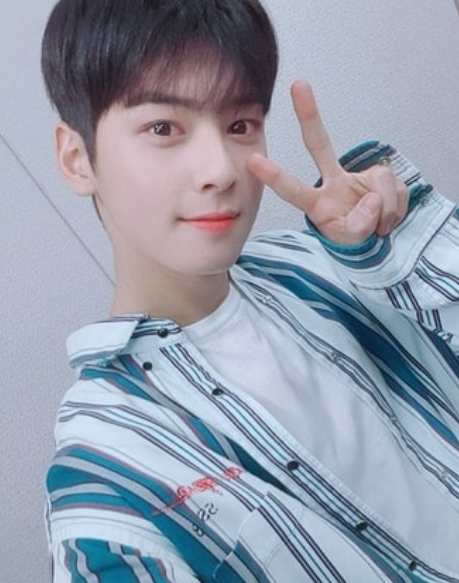 [#스타샷] 차은우 카메라 바라보며 브이(V) 손동작