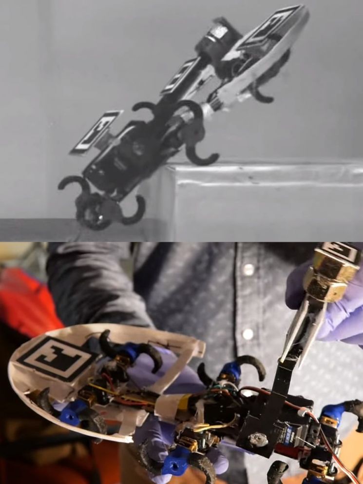 존스홉킨스대 연구팀이 개발한 바퀴벌레형 로봇이 턱을 올라가는 모습(위)과 연구원이 작동원리에 대해 설명하는 모습(아래). [사진=존스홉킨스대 홍보영상 캡처]