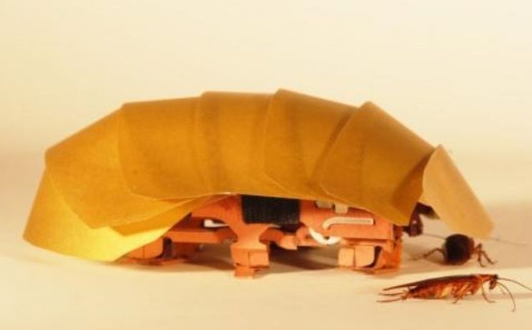UC버클리와 하버드대 공동연구팀이 개발한 '크램'과 바퀴벌레의 모습. [사진=UC버클리대 홍보영상 캡처]