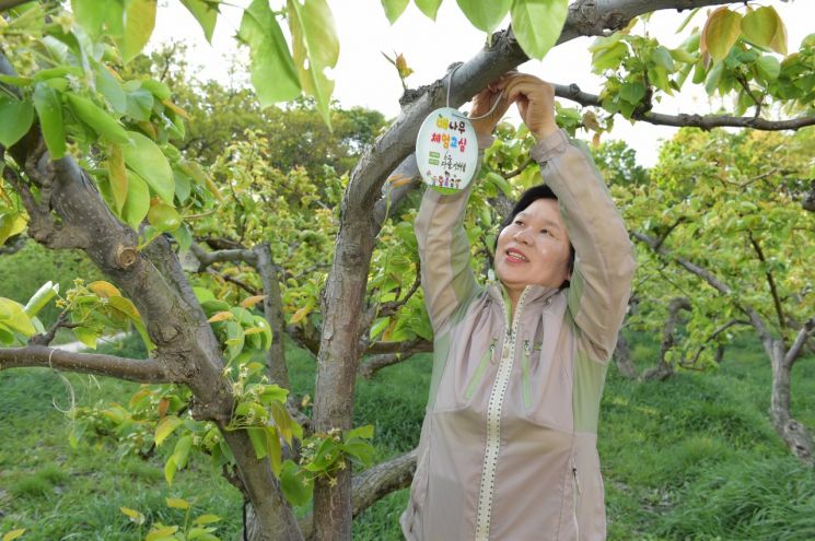 중랑구, 도시농업 활성화 첫발 내딛어