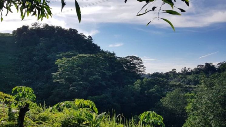 말레이시아 UTM 공대생 34명, 탄중말림숲서 5일째 실종