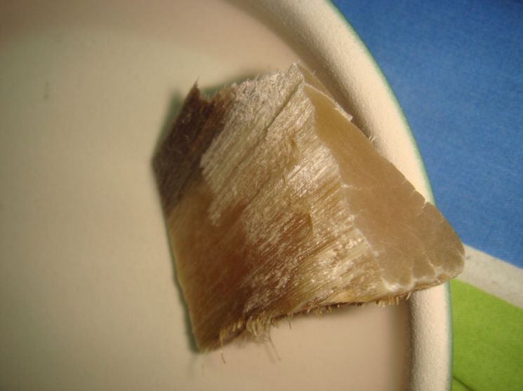 “뼈가 몸에 좋다?”…中정부 허가에 호랑이·코뿔소 수난 시대