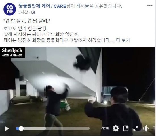 일본도로 살아 있는 닭을…동물권단체 케어 "동물학대로 양진호 회장 고발"
