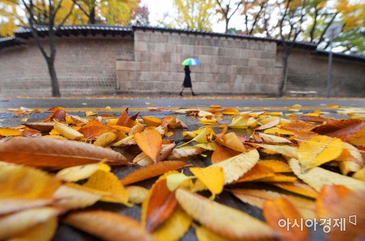 우산을 쓴 시민이 서울 중구 정동길에서 낙엽을 밟으며 가을 정취를 만끽하고 있다. /문호남 기자 munonam@