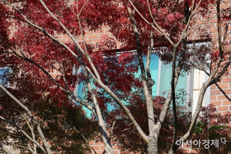 ‘몰카 졸부’ 양진호 산다는 판교 단독주택…시가 24억에 대출 ‘0원’