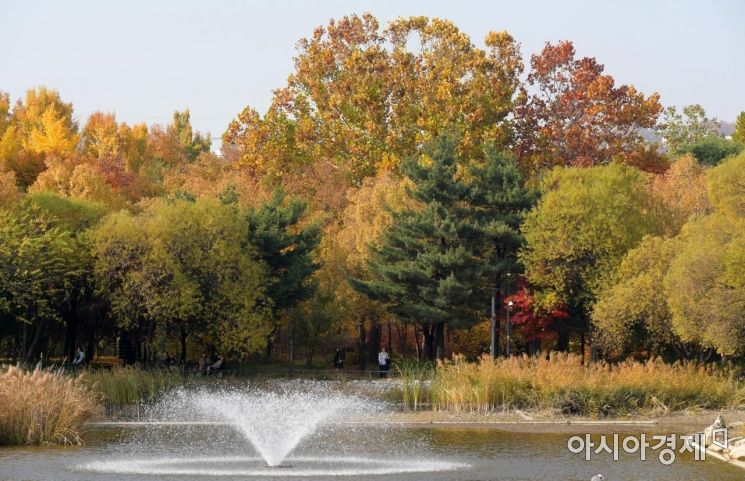 [포토]아름다운 계절, 가을