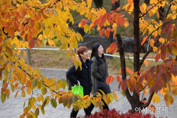 [포토]걷기 좋은 계절, 가을