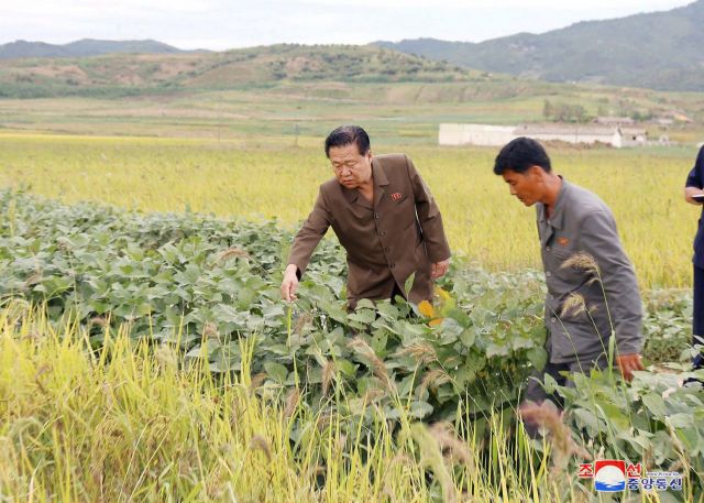 北, 전시태세 훈련 이어 전시예비식량 징수