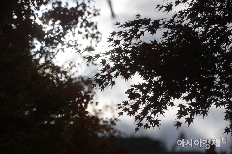 [포토]'가을아 천천히'