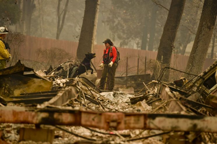 美 캘리포니아 산불로 42명 사망…"시신 확인·수색 중"
