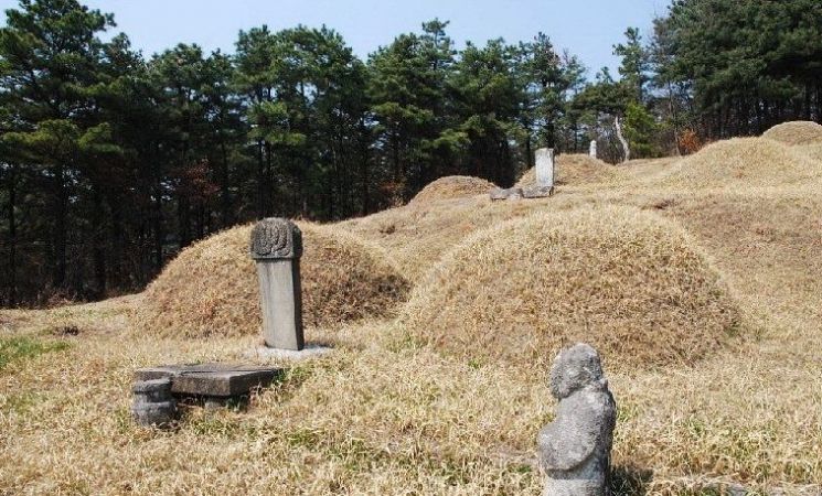 [火요일에 읽는 전쟁사]최악의 졸장 '원균', 부정입시 논란도 있었다고요? 