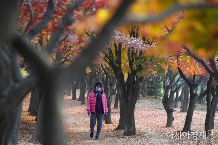 [포토]마스크 쓰고 가을 산책