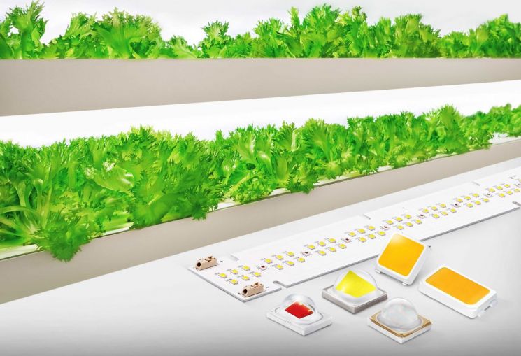 삼성전자, 농작물 재배용 LED 신제품 출시