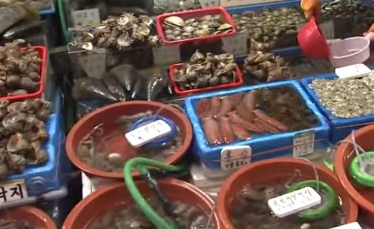 한국이 1인당 세계 해산물 소비 1위 국가입니다. 소비는 많지만 지속가능한 어업에 대한 의무는 소홀한 것 아닐까요. [사진=유튜브 화면캡처]