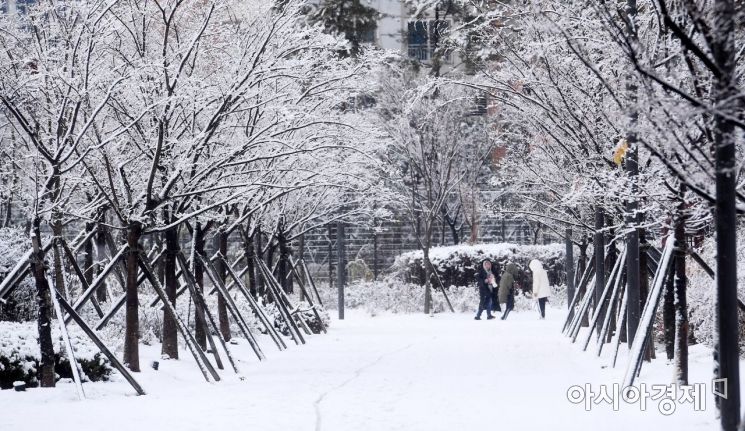 그것이 진눈깨비면 어떠하리…서울, 첫 눈