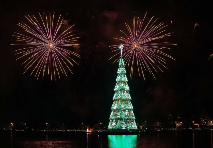 물 위에 뜬 '세계최대' 크리스마스 트리…브라질 밤 밝힌다