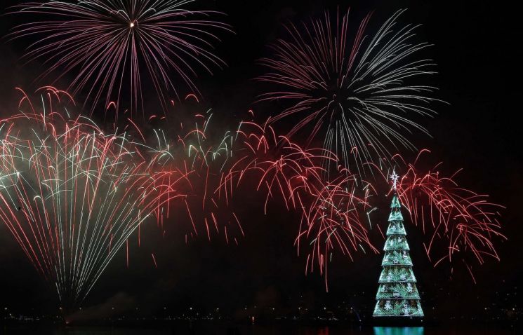 물 위에 뜬 '세계최대' 크리스마스 트리…브라질 밤 밝힌다