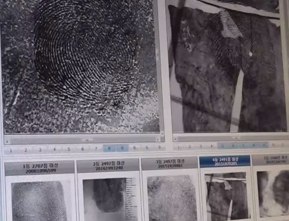 [과학을읽다]지문 없는 사람?