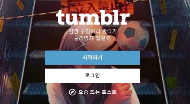 음란물에 칼 빼든 ‘텀블러’…그 많던 음란물은 얼마나 줄었을까