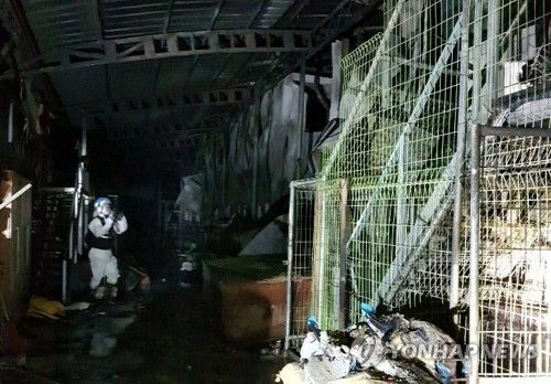 이효리 반려견 '순심이' 입양했던 보호소서 화재…유기견 등 260여마리 죽어 