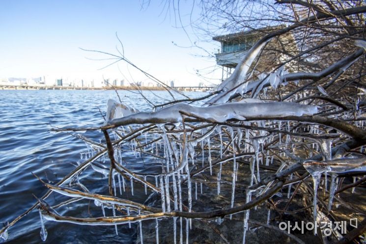 [포토]고드름 옷 입은 나무