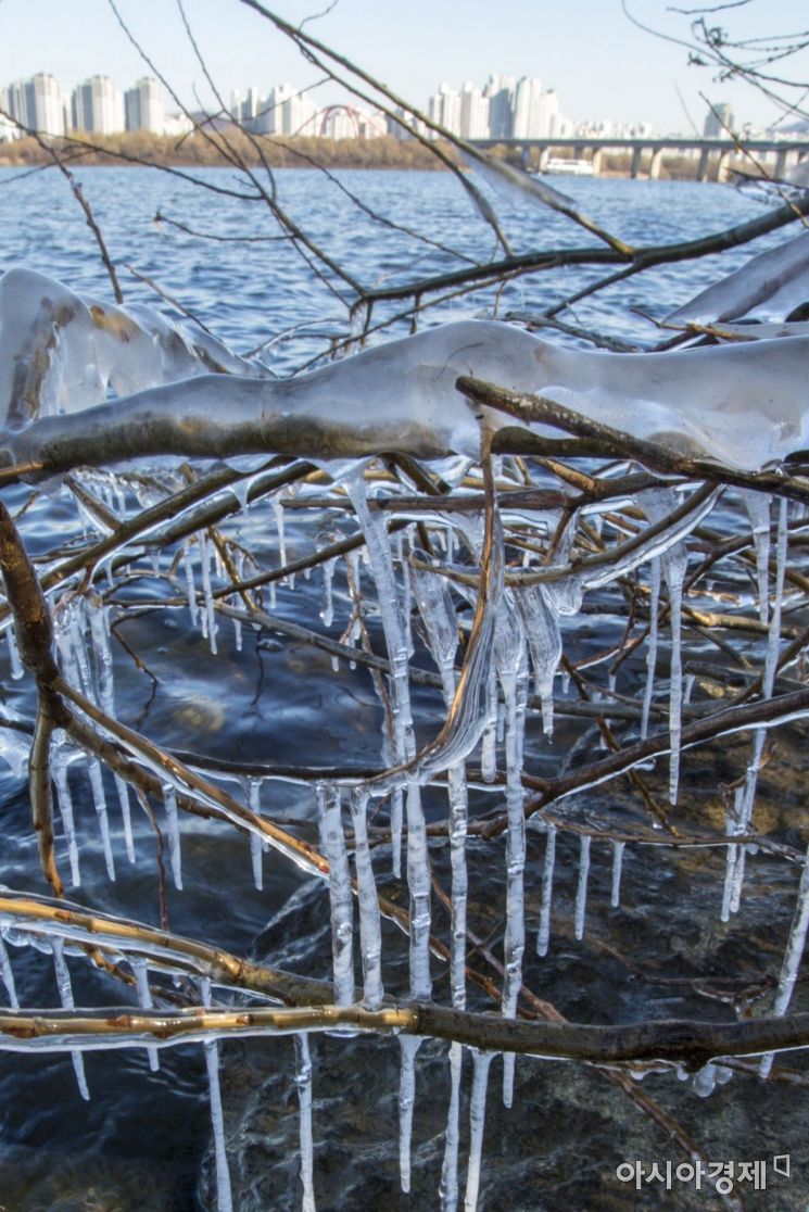 [포토]강추위에 고드름 꽁꽁
