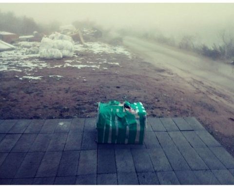지난 11월25일 새끼 강아지 5마리가 담긴 박스가 아지네마을 보호소 앞에 버려졌다/사진=아지네마을 SNS