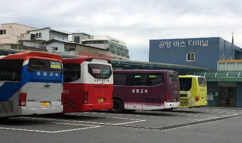 '한국판 버스 패스' 나오나…시외버스 정기권·정액권 도입 추진