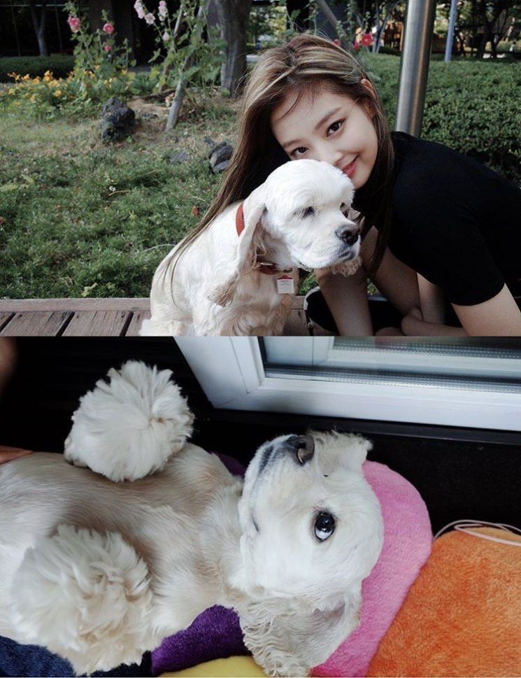 사진=블랙핑크 공식 인스타그램 캡처