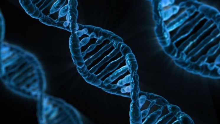 약한 DNA가 진화의 비결