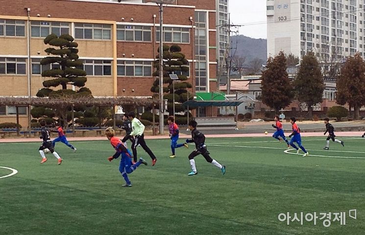 장흥군, 동계훈련 축구 스토브리그 열기 ‘후끈’