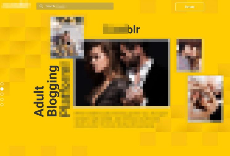 “성인물 환영합니다”…음란물 온상 텀블러 대체 사이트 등장 ‘풍선효과’ 현실로