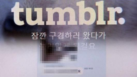 “성인물 환영합니다”…음란물 온상 텀블러 대체 사이트 등장 ‘풍선효과’ 현실로