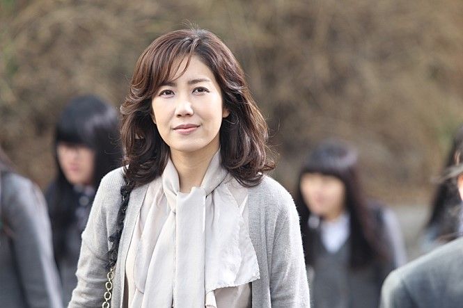 [라임라이트]장미 다시 꽃피다