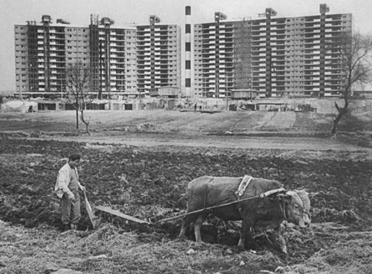 1978년 압구정동 현대아파트 (사진출처: 사진작가 전민조)