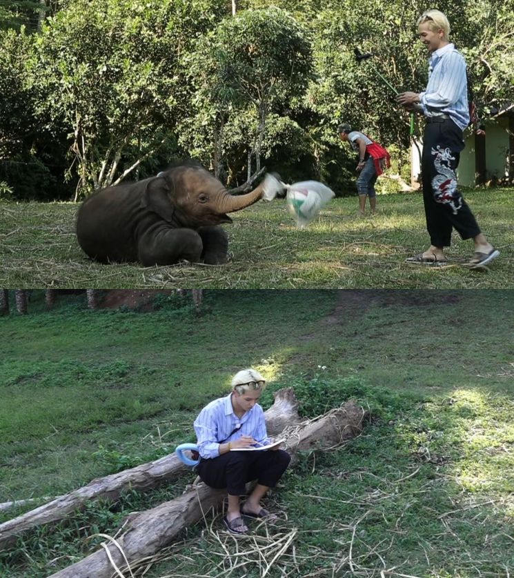 '뭉쳐야 뜬다2' 송민호, 태국에서 코끼리 세신사로 변신…코끼리 절친 등극