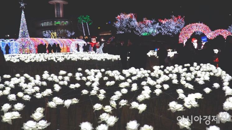 보성차밭 빛 축제 ‘성료’…지역경제 효자노릇 ‘톡톡’
